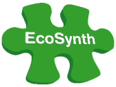 EcoSynth